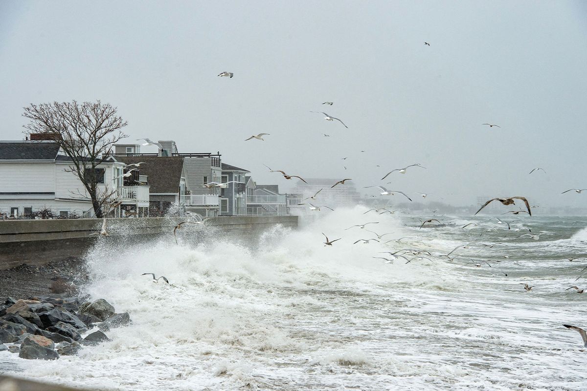 Seagulls fly above as waves hammer the sea wall and blasted coastal homes with water and rocks in Winthrop, Massachusetts on March 14, 2023. (JOSEPH PREZIOSO/AFP via Getty Images)