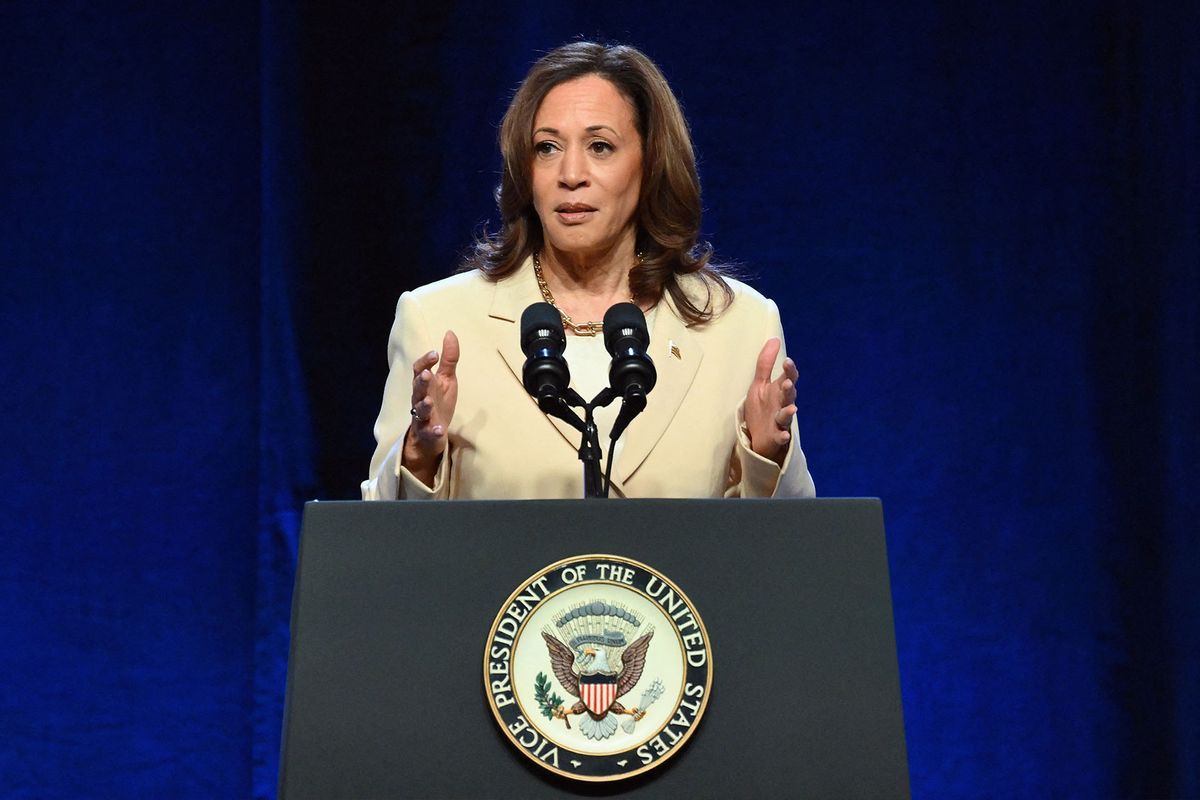 US Vice President Kamala Harris speaks at the Constitutional Convention of the UNITE HERE hospitality union in New York on June 21, 2024. (ANGELA WEISS/AFP via Getty Images)