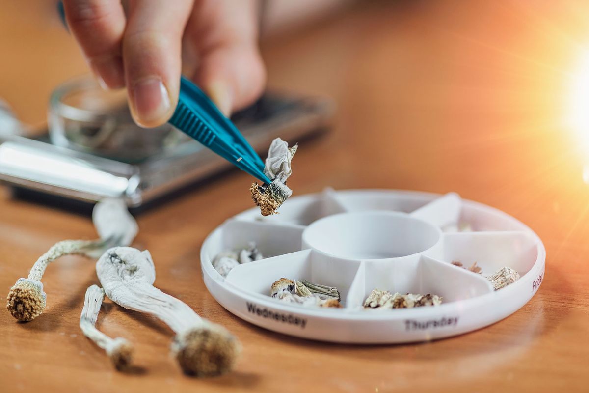 Micro Dosing with Psilocybin Magic Mushrooms. Daily Micro Doses in a Pill Box (Getty Images/microgen)