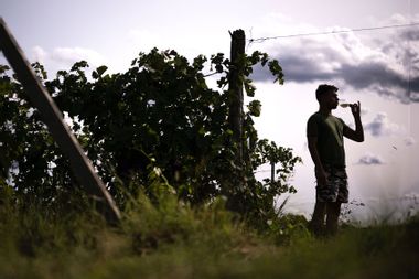 man drinking a glass of wine italy vineyard