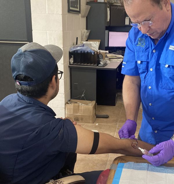 A researcher draws blood from a farmworker to analyze it for signs of a previous bird flu infection